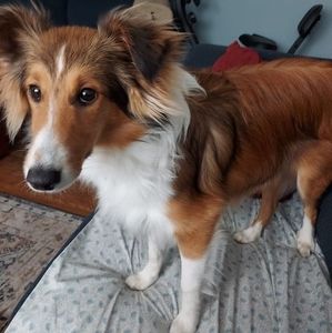 Meet your Posher, Terry